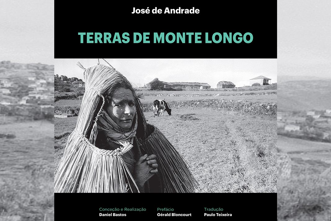 Daniel Bastos: Terras de Monte Longo book cover