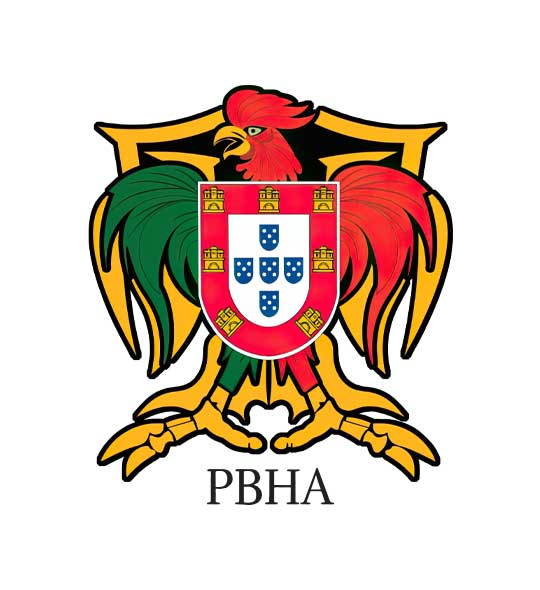 Portuguese Ball Hockey Association Logo