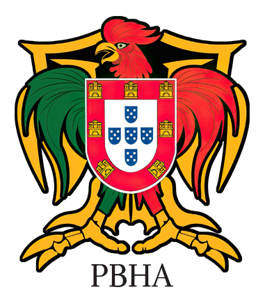 Portuguese Ball Hockey Association Logo